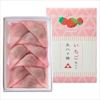 東山八ツ橋本舗 いちご餡入 生八ツ橋〔(22g×9)×2〕苺あん 和菓子