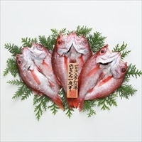 一日漁 のどぐろ 一夜干し 天日塩 岡富商店〔3~5枚 計660g〕ノドグロ 干物