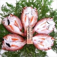 一日漁 のどぐろ 一夜干し 天日塩 岡富商店〔5~6枚 計410g〕ノドグロ 干物