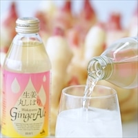 生姜丸しぼり Wakayama ジンジャーエール〔250ml×24〕和歌山市産 生姜【北海道・沖縄県・離島 配送不可】