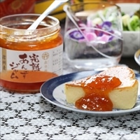 森杏庵 完熟あんずジャム 信州産〔400g×2〕ジャム あんず