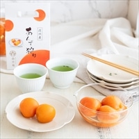 森杏庵 信州産 あんず狩り シラップ漬〔440g×2〕あんずシロップ漬け