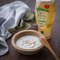 からだに優しい イヌリンはちみつ 機能性表示食品〔スタンドボトル500g〕アカシアハニー