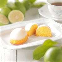 レモンケーキ ガトーフリアン 碧の檸檬 ギフトボックス〔(50g×5)×2〕スイーツ 個包装