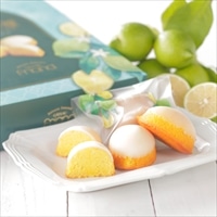 レモンケーキ ガトーフリアン 碧の檸檬 ギフトボックス〔50g×10〕スイーツ 個包装