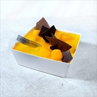 スイーツボックス 白金ティラミス マンゴーオレンジ〔底95mm×95mm×高さ40mm〕スイーツ 冷凍