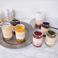 白金ホワイトティラミス缶 6種アソート〔ブルーベリー ピスタチオ ほか全6種〕スイーツ 冷凍