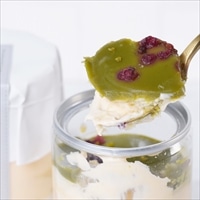 白金ホワイトティラミス缶 ピスタチオ〔(高さ97mm、底径48mm)×4〕スイーツ 冷凍