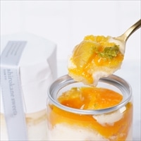 白金ホワイトティラミス缶 マンゴーオレンジ〔(高さ97mm、底径48mm)×4〕スイーツ 冷凍