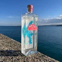 のとジン スピリッツ〔500ml〕ジン お酒 洋酒