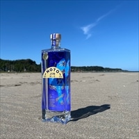 のとジン 願い星 クラフトジン〔500ml〕ジン お酒 洋酒