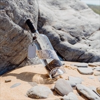 エキセントリック・スピリッツ デヴィ・サント・ジン〔700ml〕クラフトジン 酒