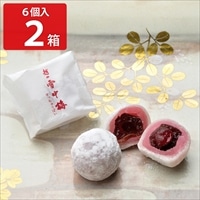 御菓子司 森八大名閣 越の雪中梅〔6個×2〕和菓子 個包装