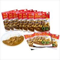 京都舞鶴 八島丹山 ホルモンカレー〔200g×10〕レトルトカレー