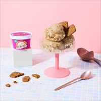 エクリプスコ アイスカップ クッキーバター〔90ml×36〕植物性アイス【沖縄県・離島 配送不可】