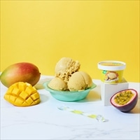 エクリプスコ アイスカップ マンゴーパッション〔90ml×36〕植物性アイス【沖縄県・離島 配送不可】