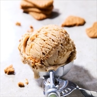 エクリプスコ バルクアイス クッキーバター〔2000ml×4〕植物性アイス【沖縄県・離島 配送不可】