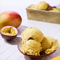 エクリプスコ バルクアイス マンゴーパッション〔2000ml×4〕植物性アイス【沖縄県・離島 配送不可】