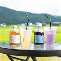 鈴木農場 ノウカコーラ 飲み比べセット〔ノウカコーラ2種 各250ml〕クラフトコーラ