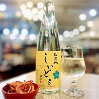 弘前銘醸 弘前城しいどる シードル ドライ ギフト〔500ml×2〕スパークリングワイン【沖縄県・離島 配送不可】