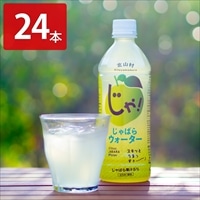 和歌山 じゃばらいず北山 じゃばらウォーター〔510ml×24〕じゃばら 清涼飲料水