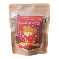 ジンジベル ほんきのしょうが のど飴〔44g(個包装込み)×6〕生姜のど飴 国産 ポスト投函便