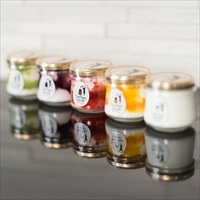 タンタンヨーグルト とろけるくちどけヨーグルト 詰め合わせ〔マンゴー・キウイ ほか全5種 各130g〕フルーツヨーグルト