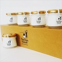 タンタンヨーグルト 砂糖不使用 とろーりプレーンヨーグルト〔130g×5〕無糖ヨーグルト