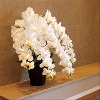 きつつき 光の楽園 造花 光触媒加工 胡蝶蘭 7本立ち〔高さ90cm×幅80cm〕アートフラワー