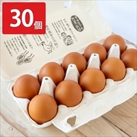 高光養鶏場 生でおいしい 生たまご〔10個入×3〕鶏卵 生卵 新鮮