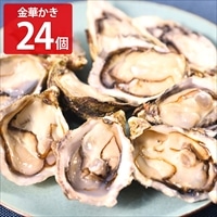 uoya 片倉商店 女川オイスターファーム 宮城産 金華かき〔Mサイズ(約50~60g)×24〕東日本 うおや 魚家