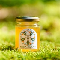 久保養蜂園 屋久島ファーム 屋久島はちみつ たんかん〔120g〕純粋はちみつ 国産