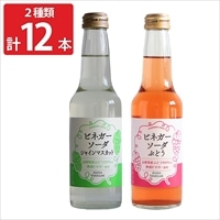ASAYA VINEGAR 飲む酢 ビネガーソーダ セット〔シャインマスカット×6、ぶどう×6〕ぶどう酢 飲むお酢［沖縄県・離島 配送不可］