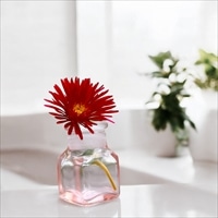 REGLAS 薬瓶 蓋付きガラス瓶 ギフトセット〔(縦横約26.5×高さ約53mm)×2個〕ガラス瓶 おしゃれ