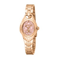 ロベルトカヴァリ バイ フランクミュラー Roberto Cavalli RV1L271M0041