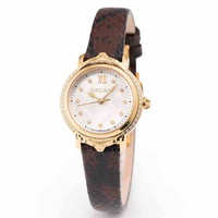 ロベルトカヴァリ バイ フランクミュラー RV2L062L0031