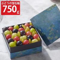 VERAISON ぶどうの宝石箱 岡山県産ぶどう ギフト〔750g〕ぶどう 詰め合わせ［北海道・沖縄県・離島 配送不可］