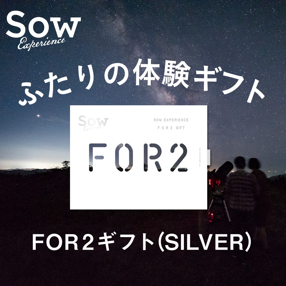 FOR2ギフト(SILVER)