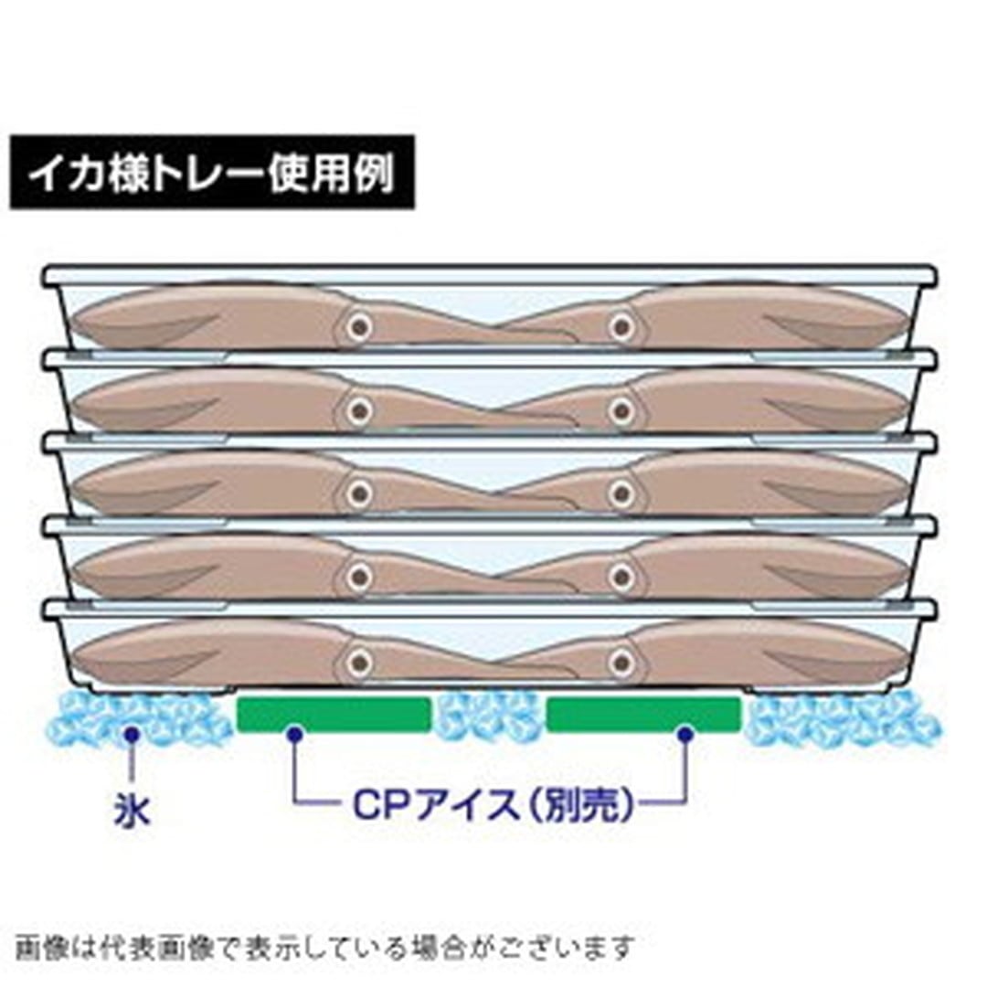 ダイワ イカ様トレー(M)3枚セット クーラー: 釣具のキャスティング ANA