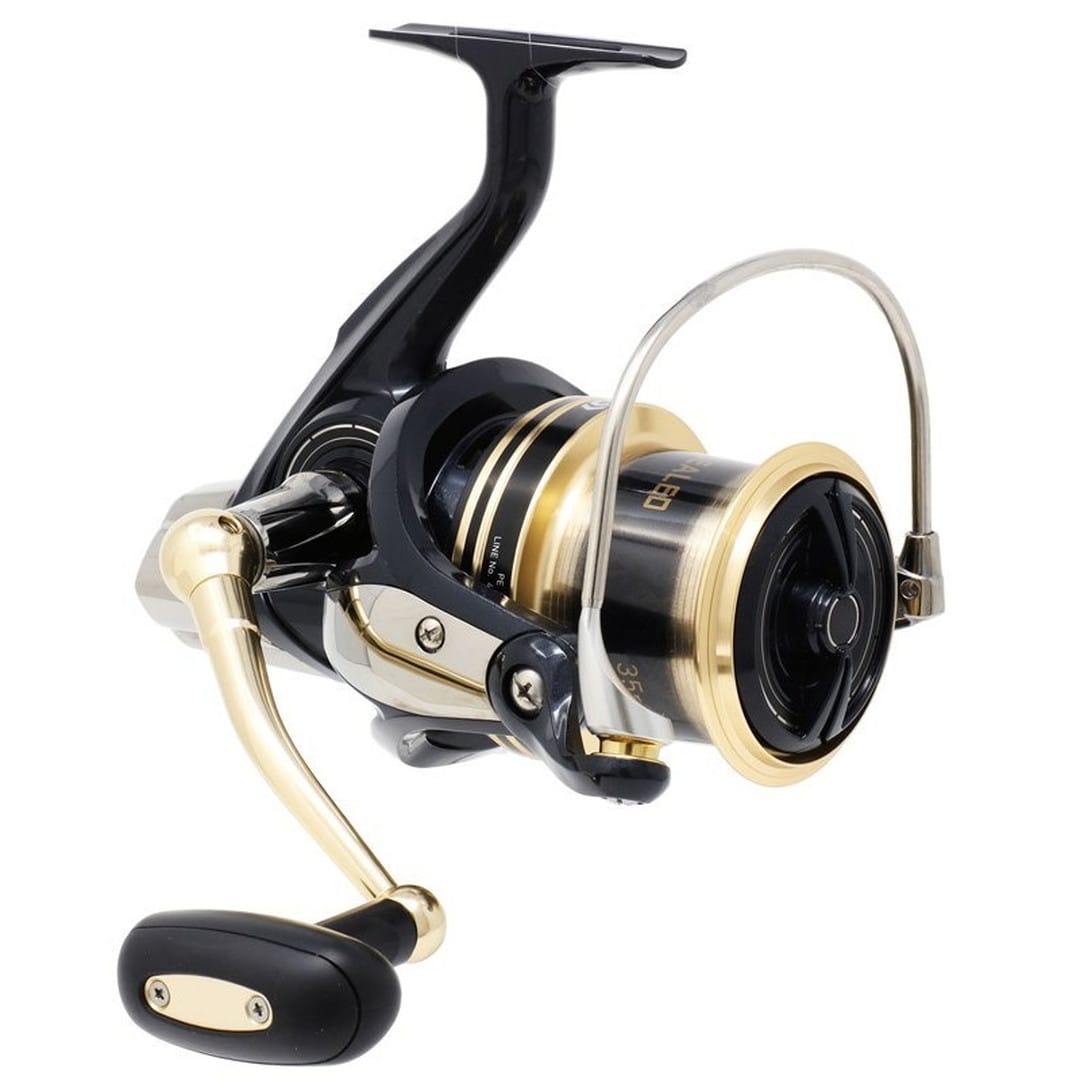 ダイワ(Daiwa) リール ウインドキャスト 4000 スピニングリール スピニングリール