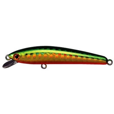 スミス パニッシュ 55F HH GOR 29