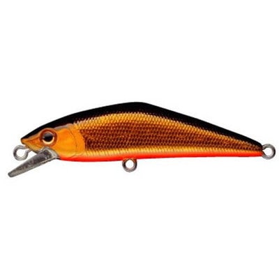 スミス D-コンタクト 72 キンクロ 01