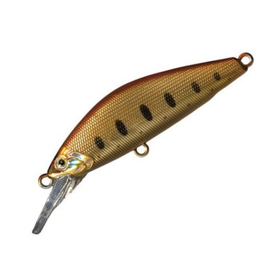 スミス D-コンセプト48MDオレンジハク 09