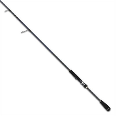 テイルウォーク シーバスロッド ボートゲーマー SSD S65XH　(スピニングモデル）