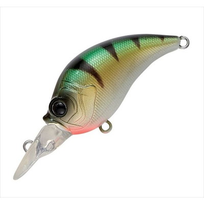 テイルウォーク バスルアー クレイジー クランクベイト 50SR #08 イエローパーチ