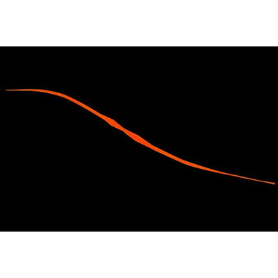 ジャッカル ビンビン玉T+ネクタイ セミカーリー 蛍光オレンジ タイラバ 鯛ラバ