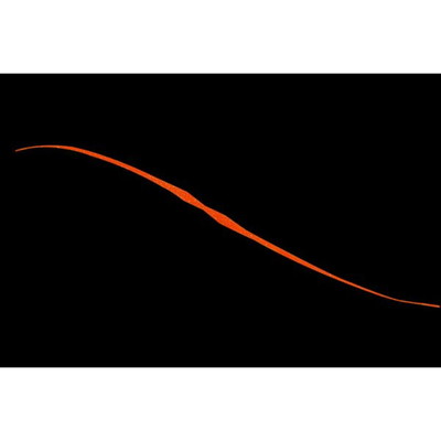 ジャッカル ビンビン玉T+ネクタイ セミカーリー オレンジゴールドフレーク タイラバ 鯛ラバ