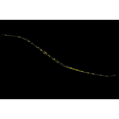 ジャッカル ビンビン玉T+ネクタイ セミカーリー シマシマグリパンゴールド タイラバ 鯛ラバ