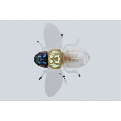 ジャッカル バグドッグ バグスケルトン バスルアー