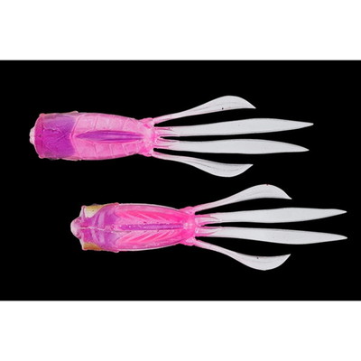 ジャッカル RV-ラッシュアワー 3.8インチ クリアーピンクナチュラル ワーム